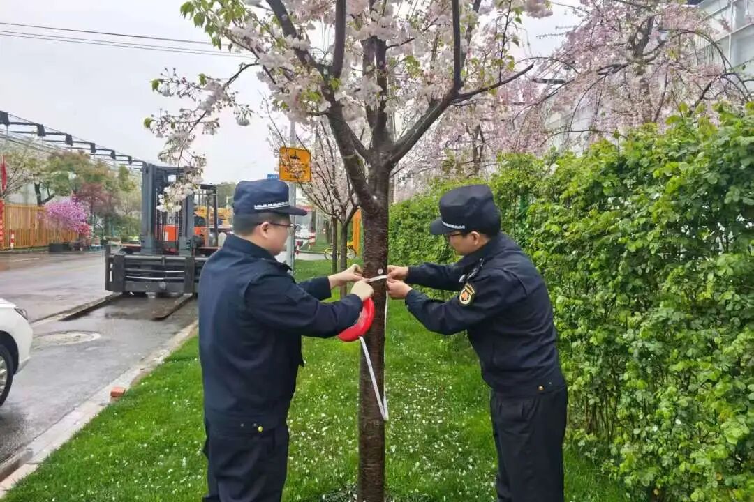 莫剪莫折留美景 依法护绿守春光
