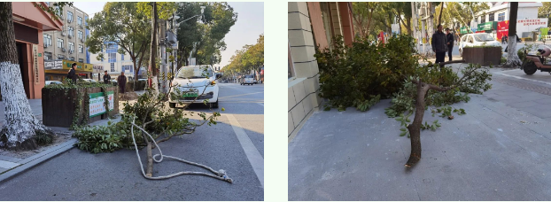 微信截图_20221212085507.png