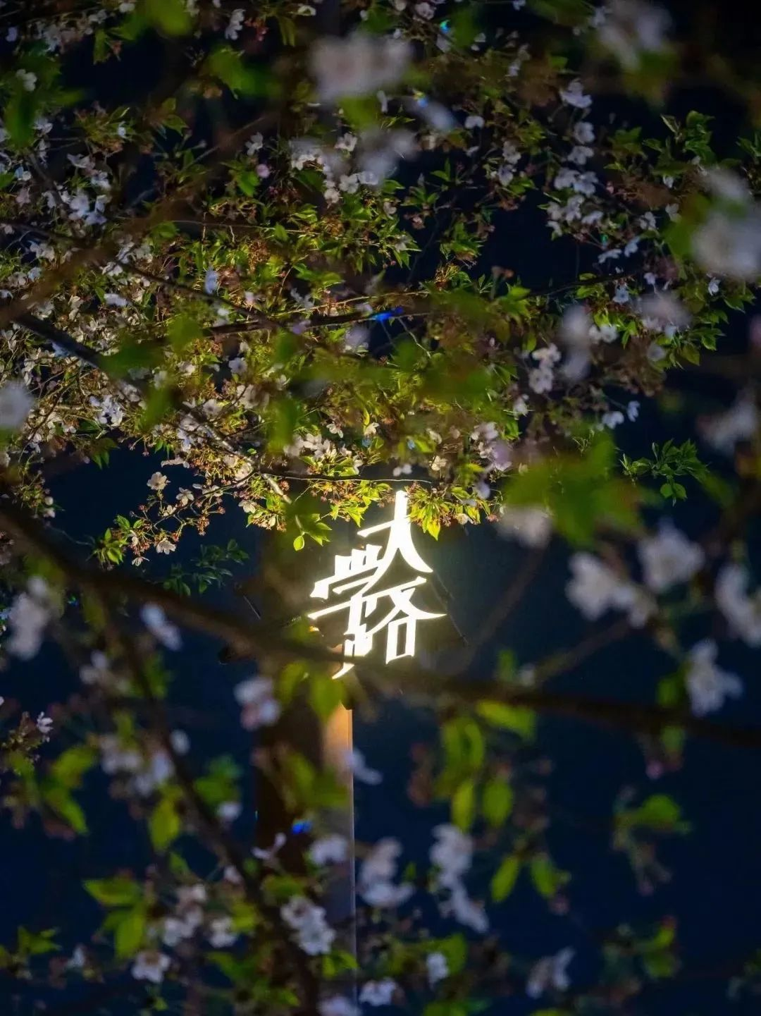 微信图片_20231110100604.png