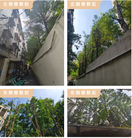 微信截图_20241012091907.png