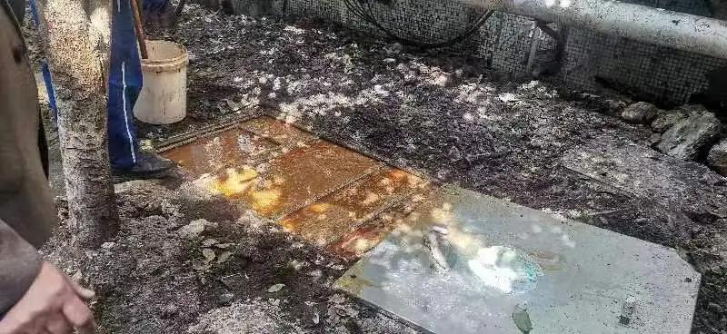微信图片_20240508095707.jpg