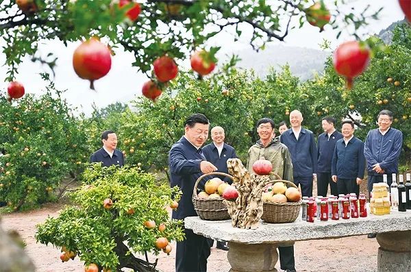 微信图片_20231020091839.jpg