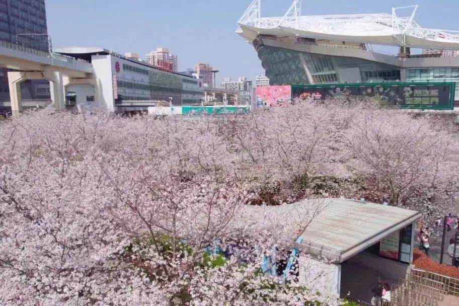 微信图片_20230324091814.jpg 微信图片_20230324091814.jpg