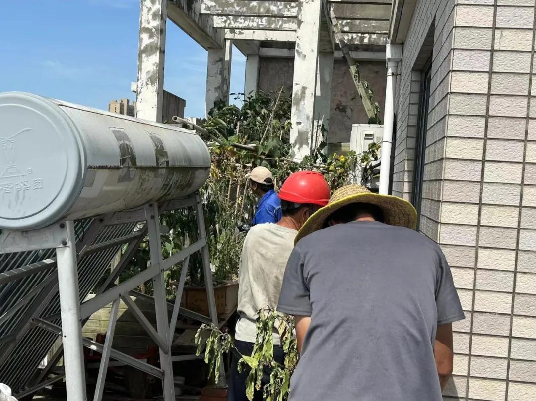 微信图片_20240813092223.jpg 微信图片_20240813092223.jpg