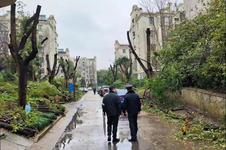 微信图片_20240409103032.jpg