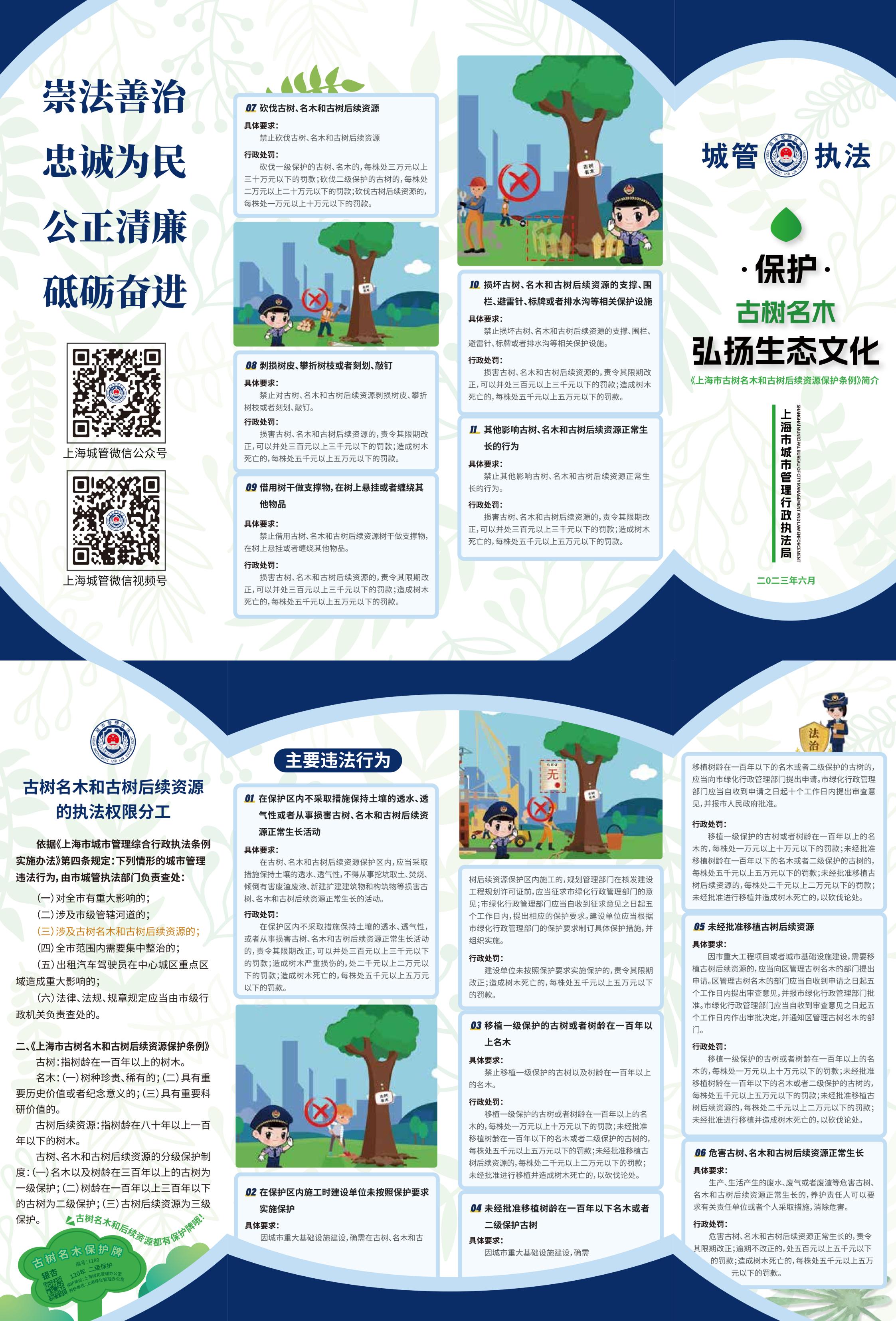 6上海市古树名木和古树后续资源保护条例.jpg