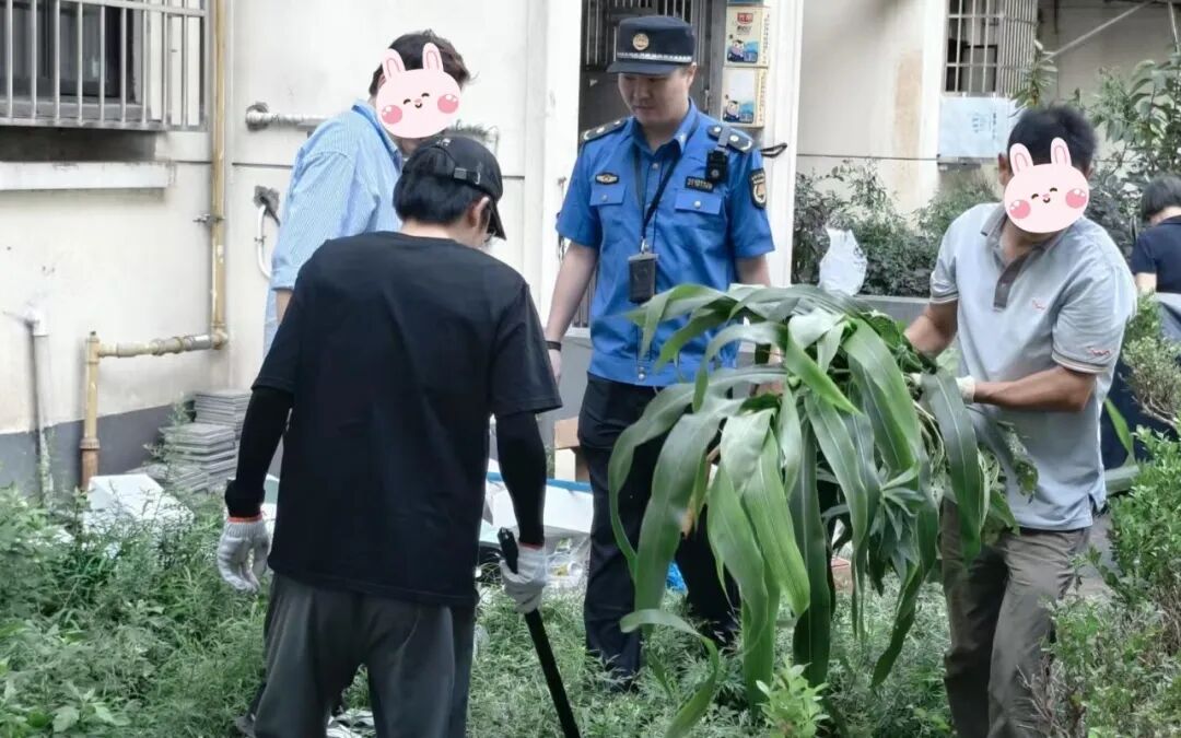 公共绿地别 “开荒”！改掉毁绿 “老习惯”