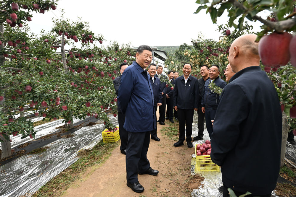微信图片_20240918175005.png
