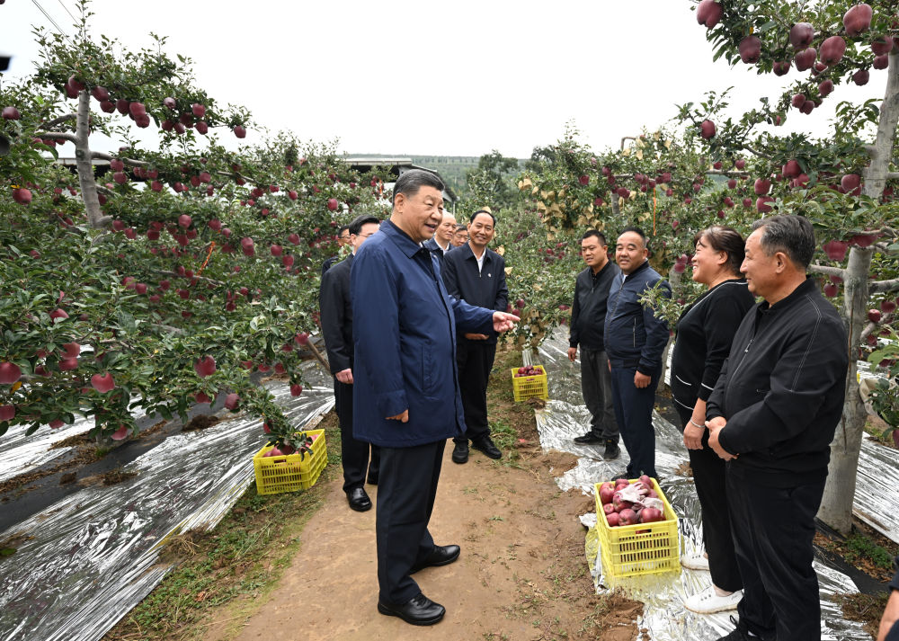 微信图片_20240918175002.png