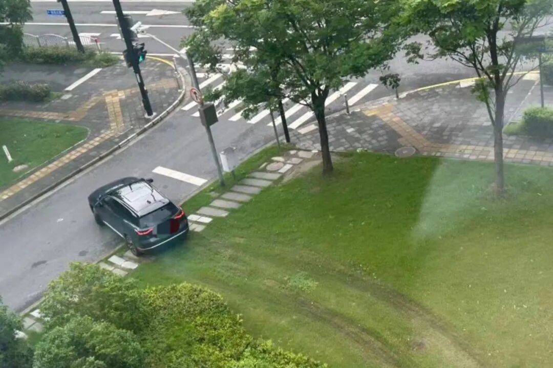绿化带成泥泞“停车场”？不行！