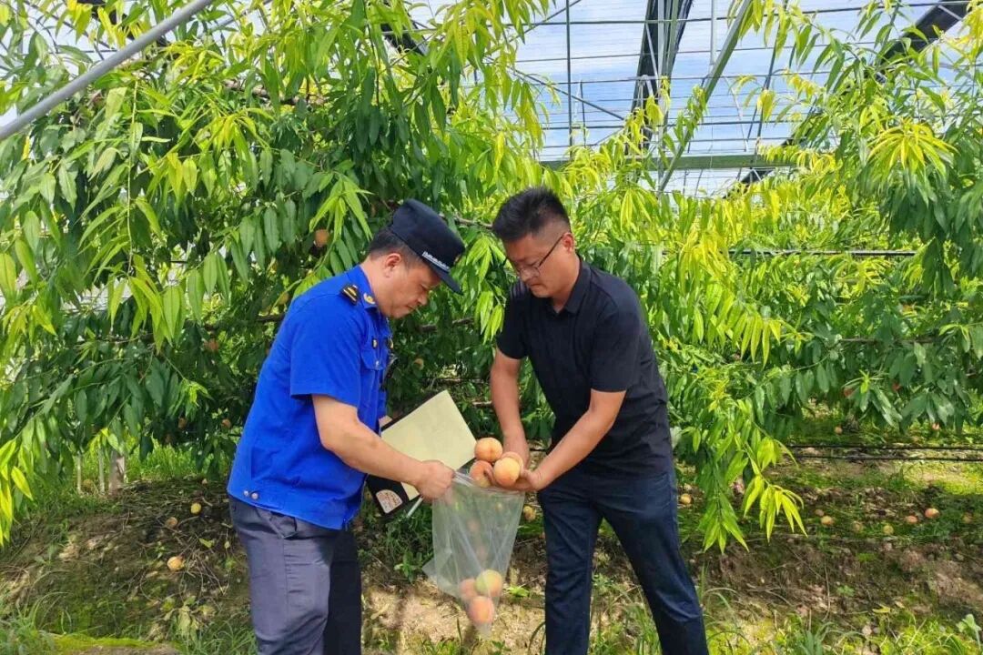 不止“挑刺”更“支招”，守牢夏日舌尖安全线