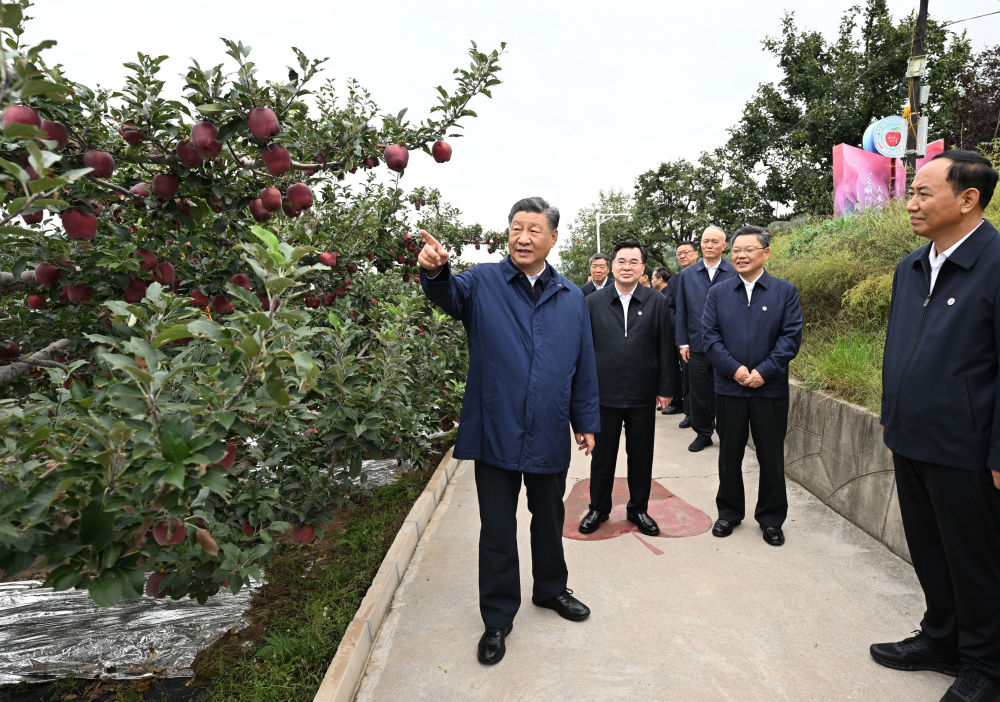 微信图片_20240918174959.png