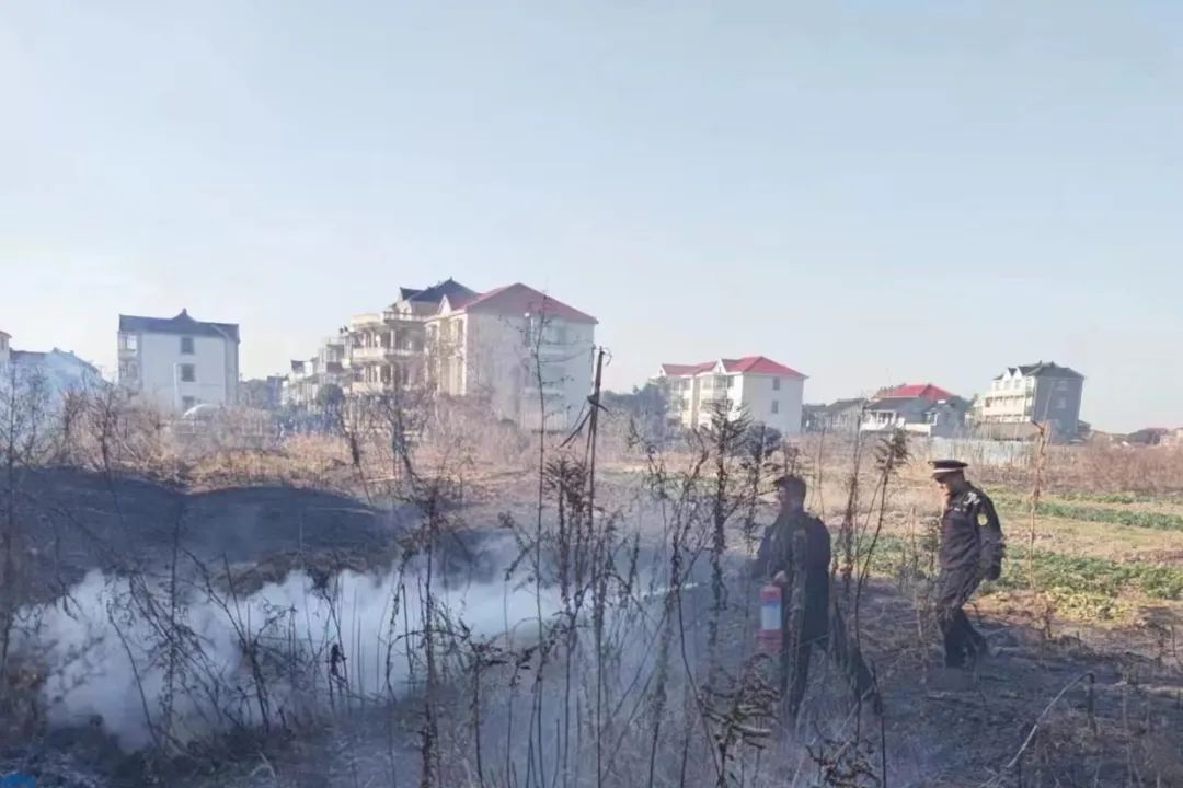 微信图片_20240205092920.jpg