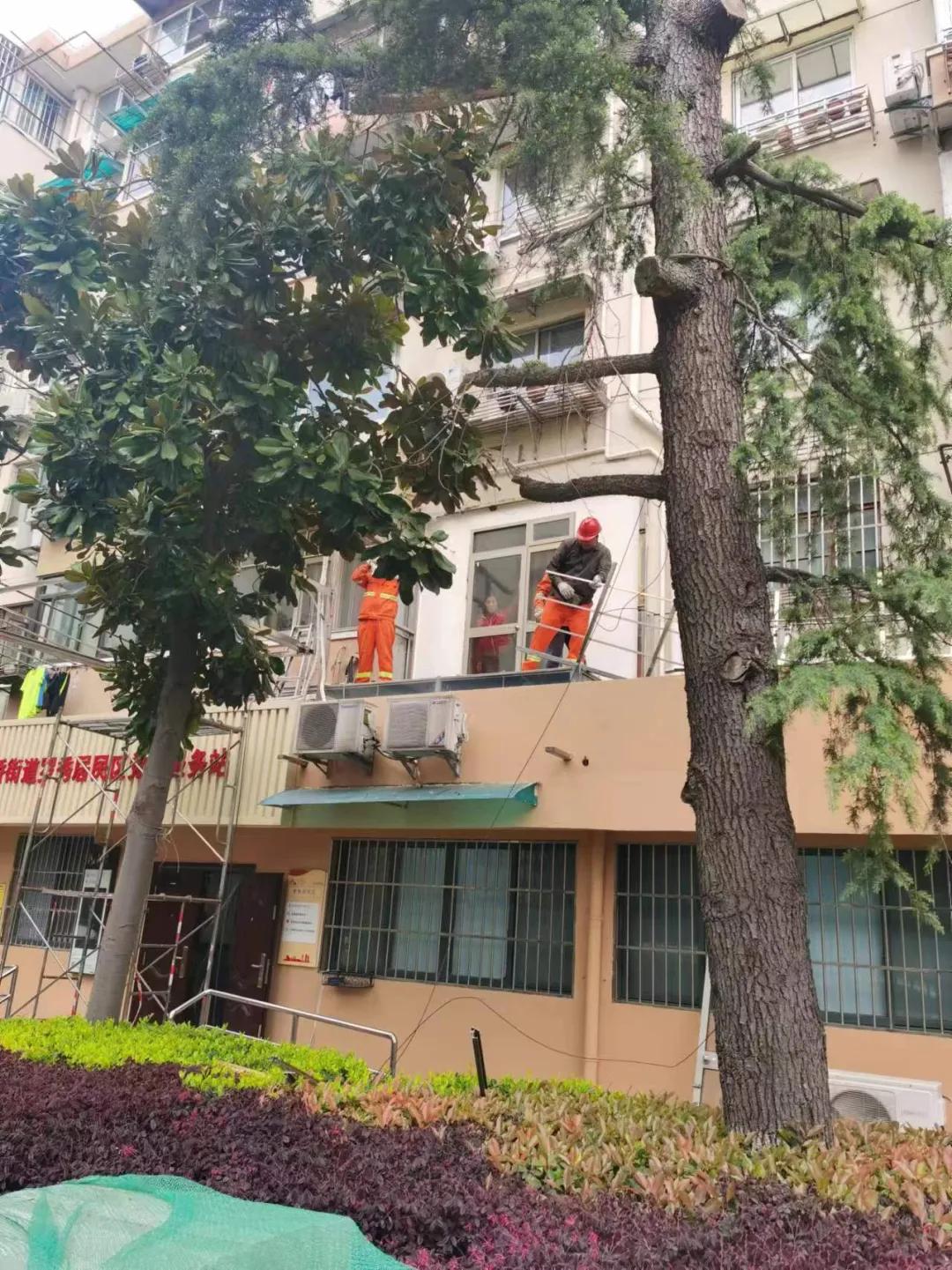 微信图片_20240522095500.jpg