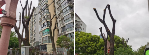 微信截图_20230522093438.png