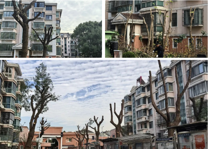 微信截图_20231225091635.png