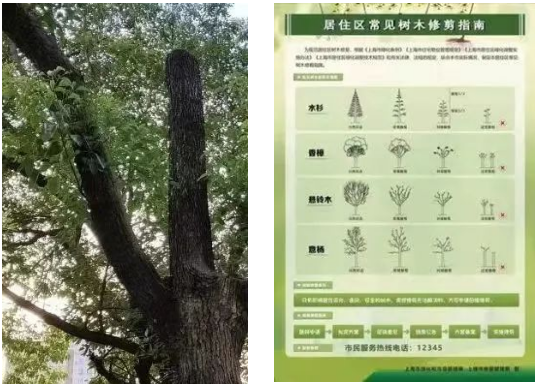 微信截图_20230925094529.png